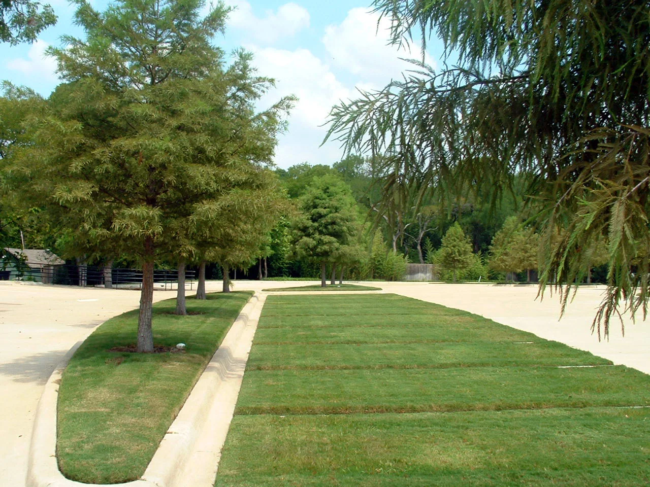 Parking Grass.jpg