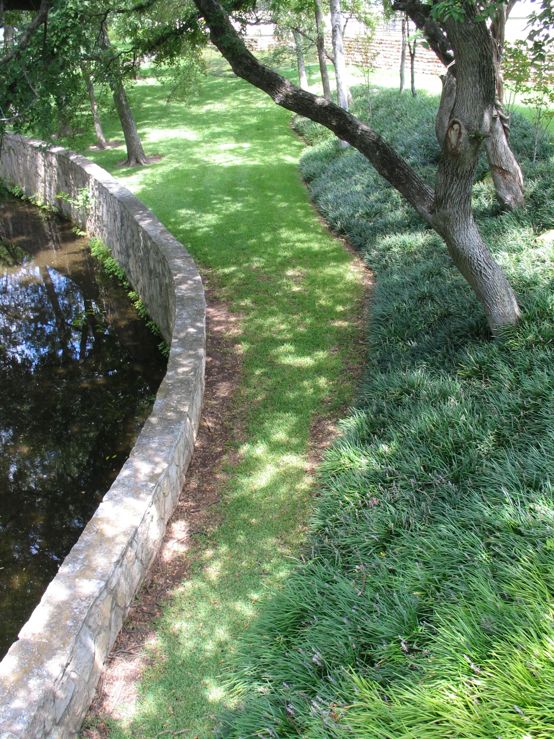 grass walk.JPG