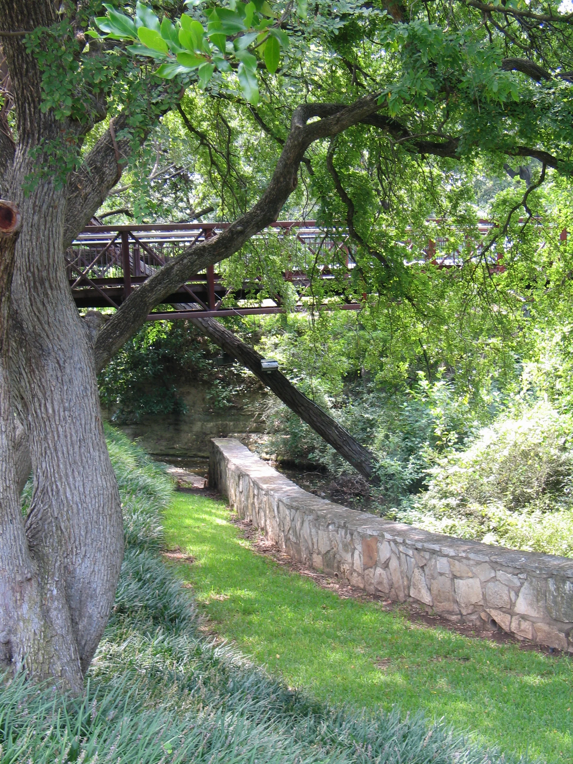 path under bridge.JPG