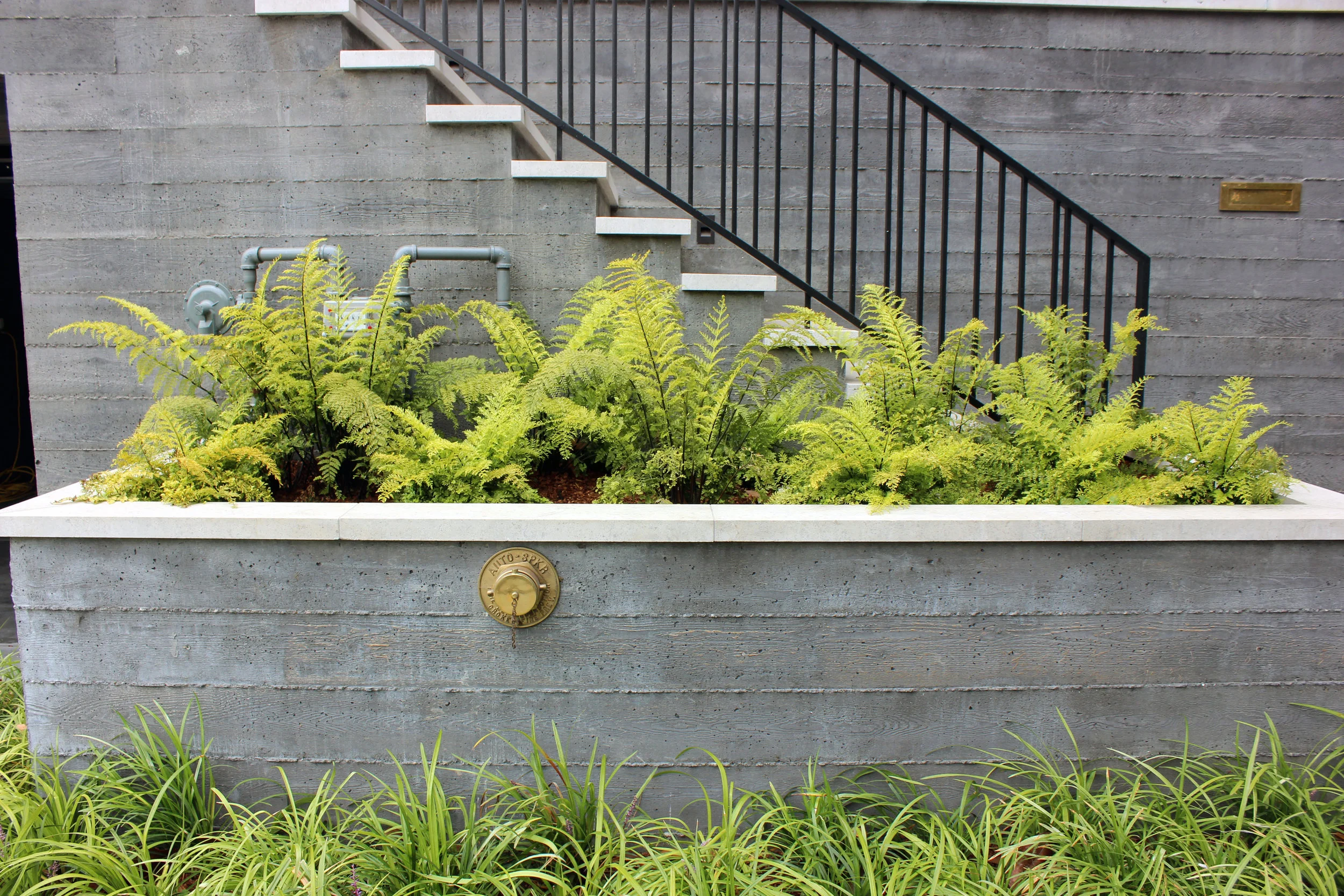 180722 036 PS WEB ok.JPG