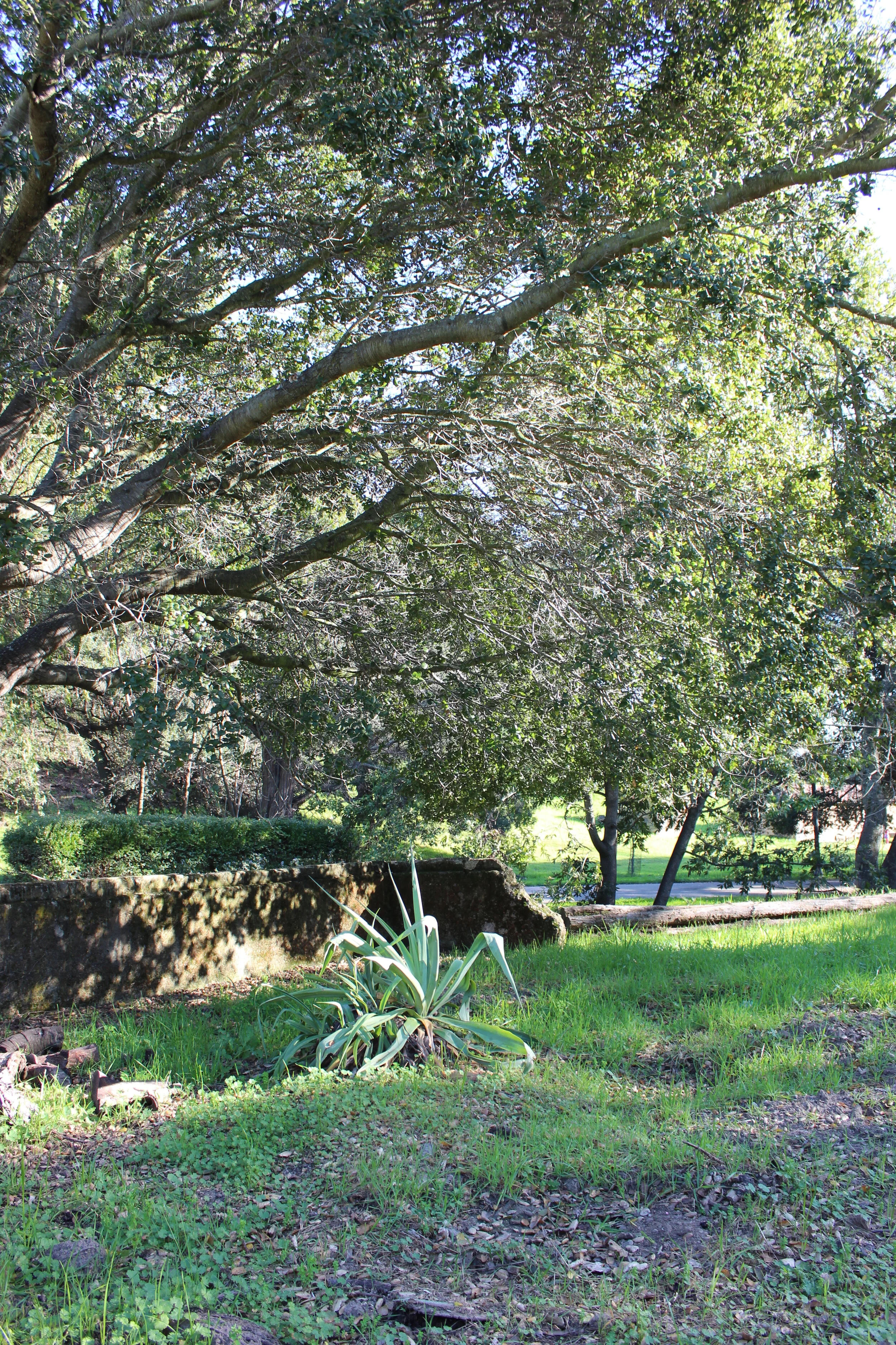 The Surprising Dunsmuir Estate