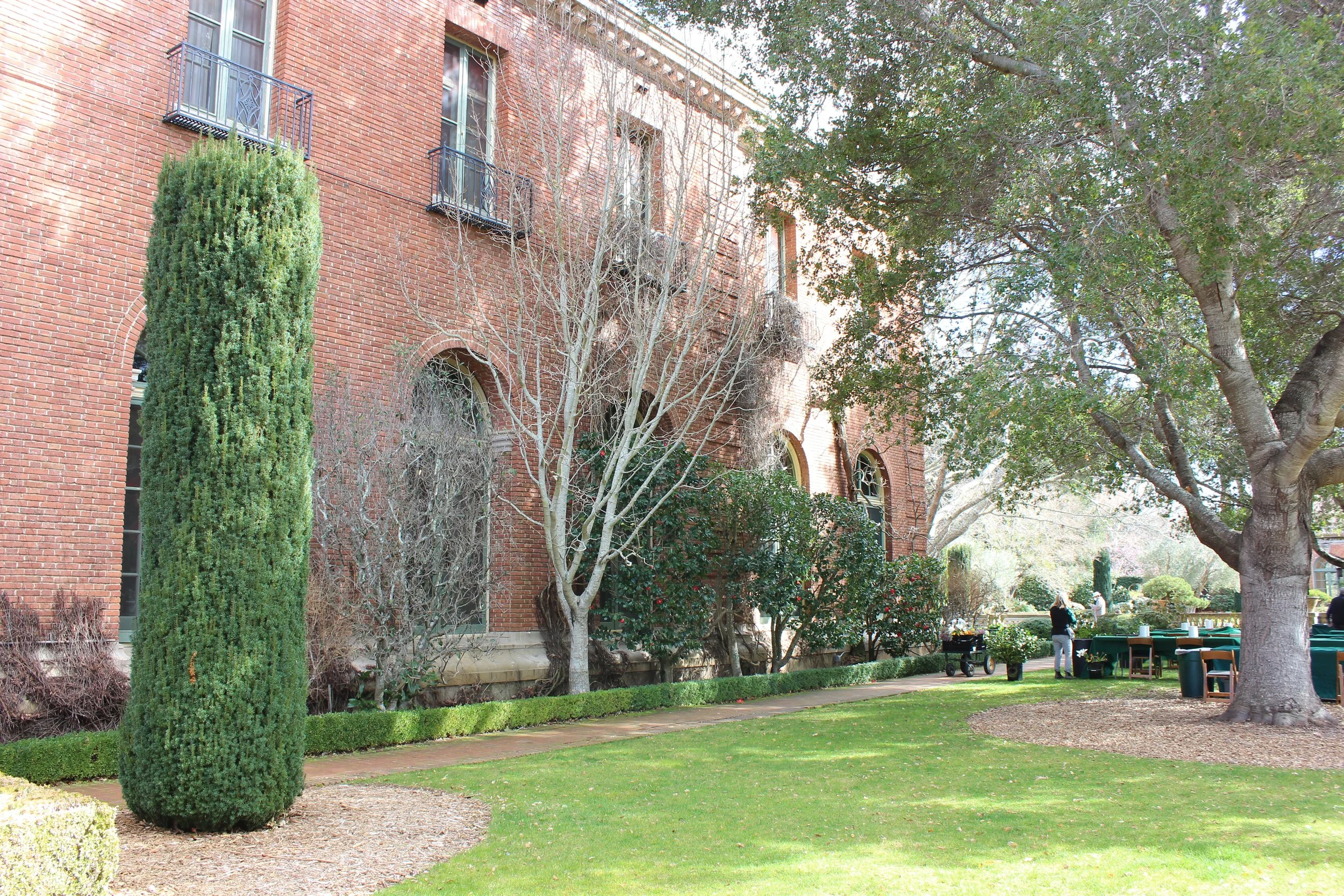 BEFORE FOUNDATION SHADY SIDE.JPG