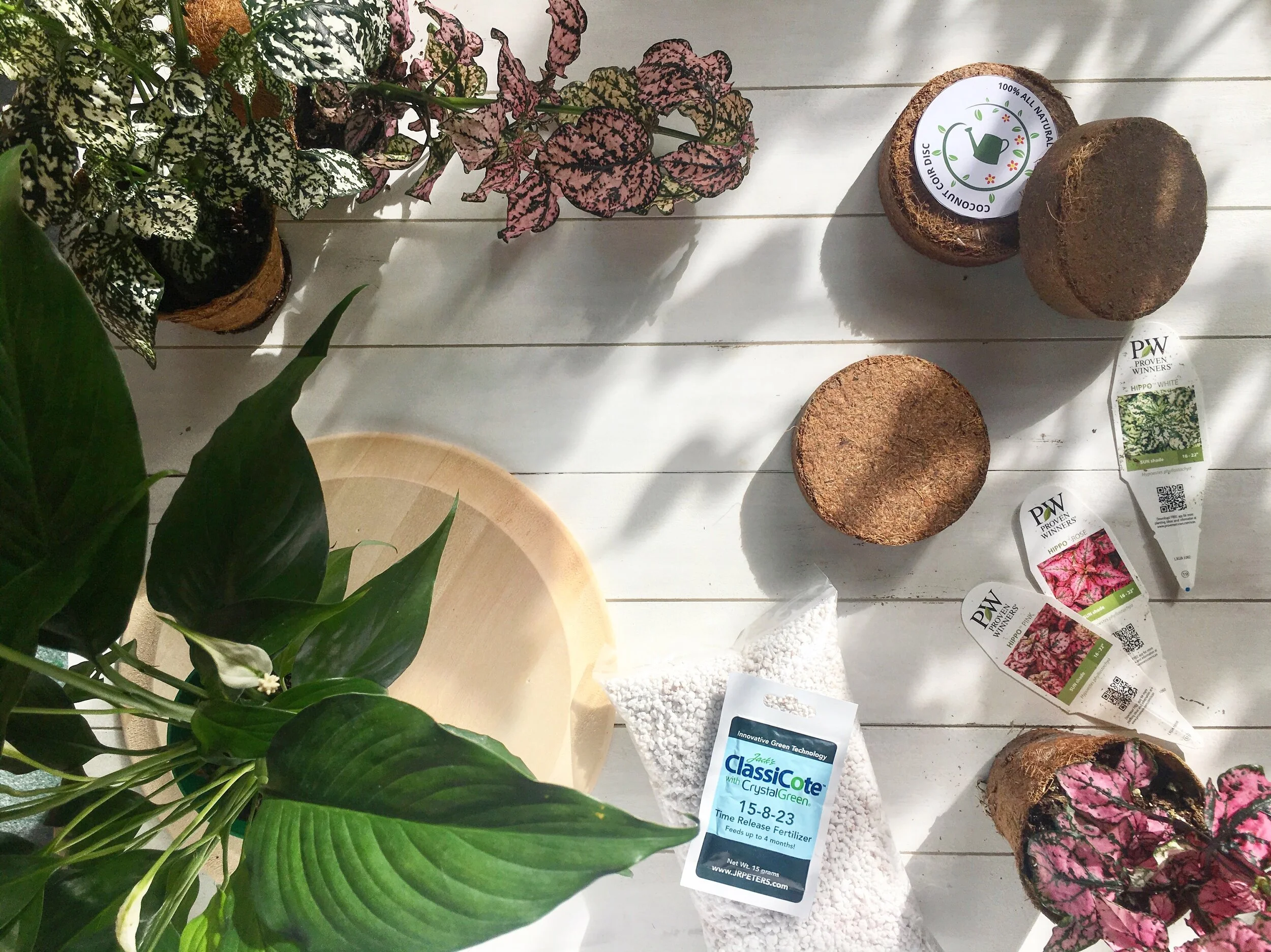 Jan Box Plant Package Flatlay Unassembled.JPG