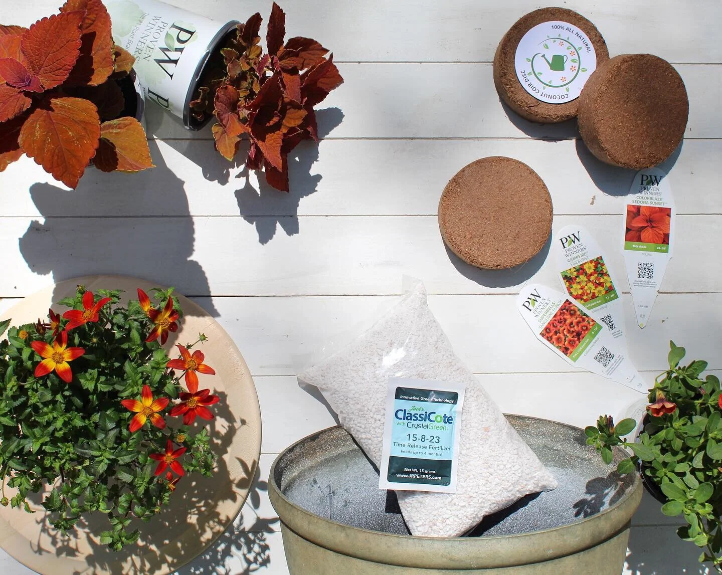 July Campfire Contents Flatlay 1.JPG