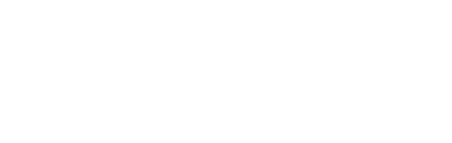 The Barnhill House Toys and Books
