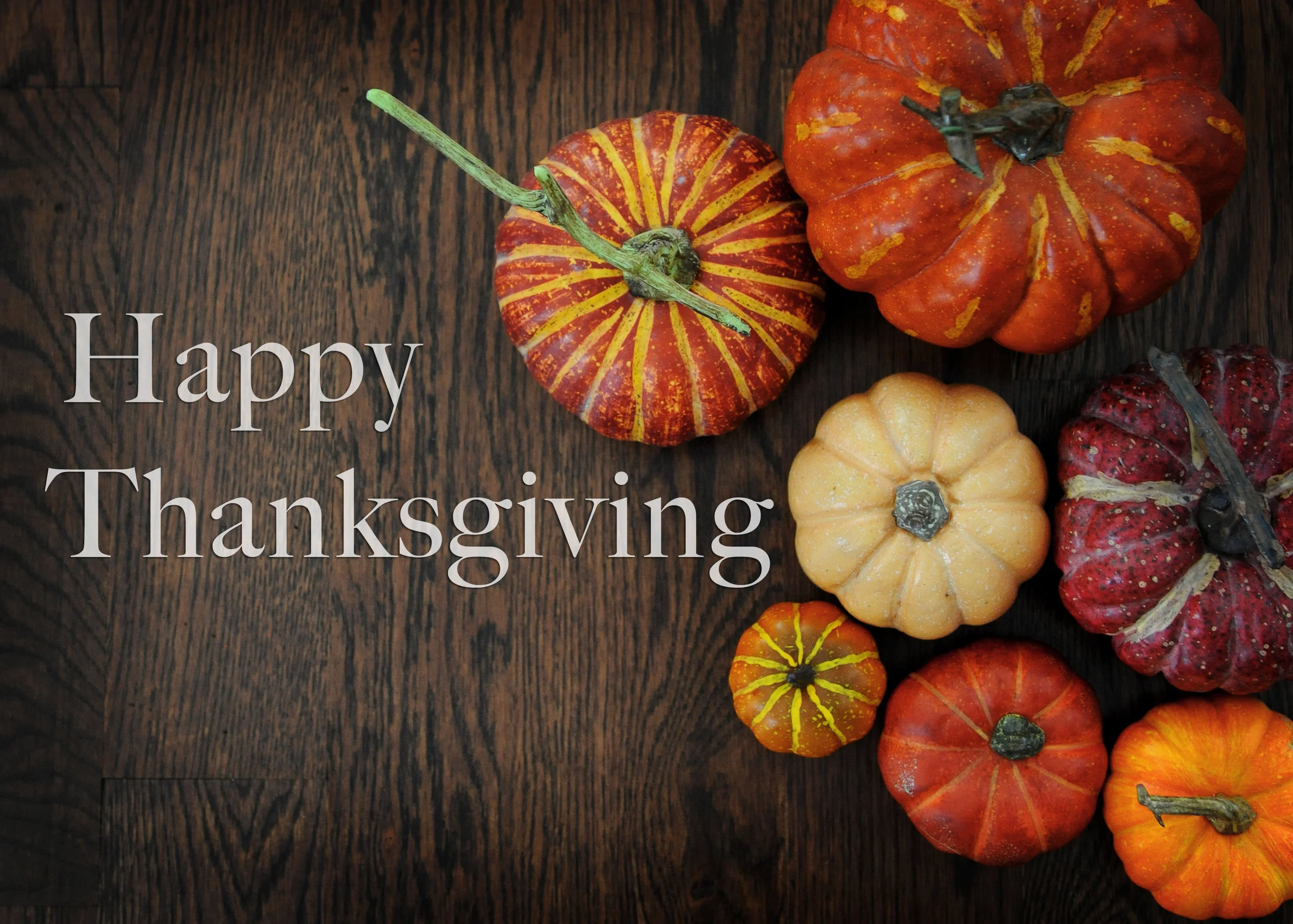Happy Thanksgiving!