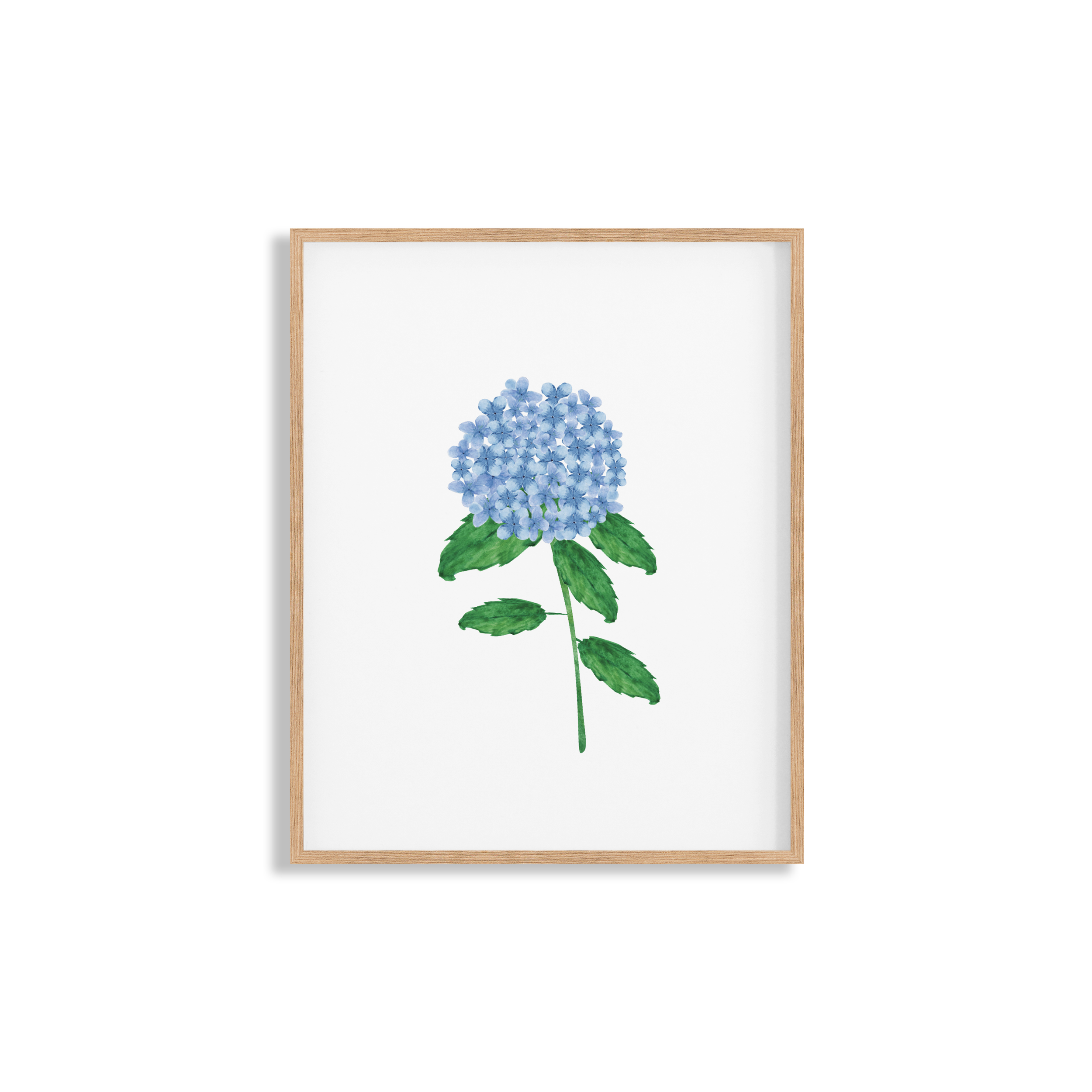 blue-hydrangea-stem-8x10-prints-Vertical.png