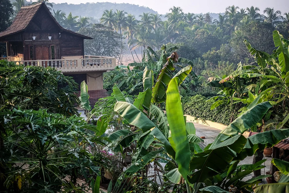 200 Hour Yoga Teacher Training Retreat Immersion Goa India Embodied Flow.jpg