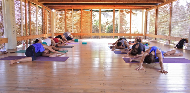 Embodied Flow Yoga Expression Module Paros Greece Scott Lyons Tara Judelle.jpg