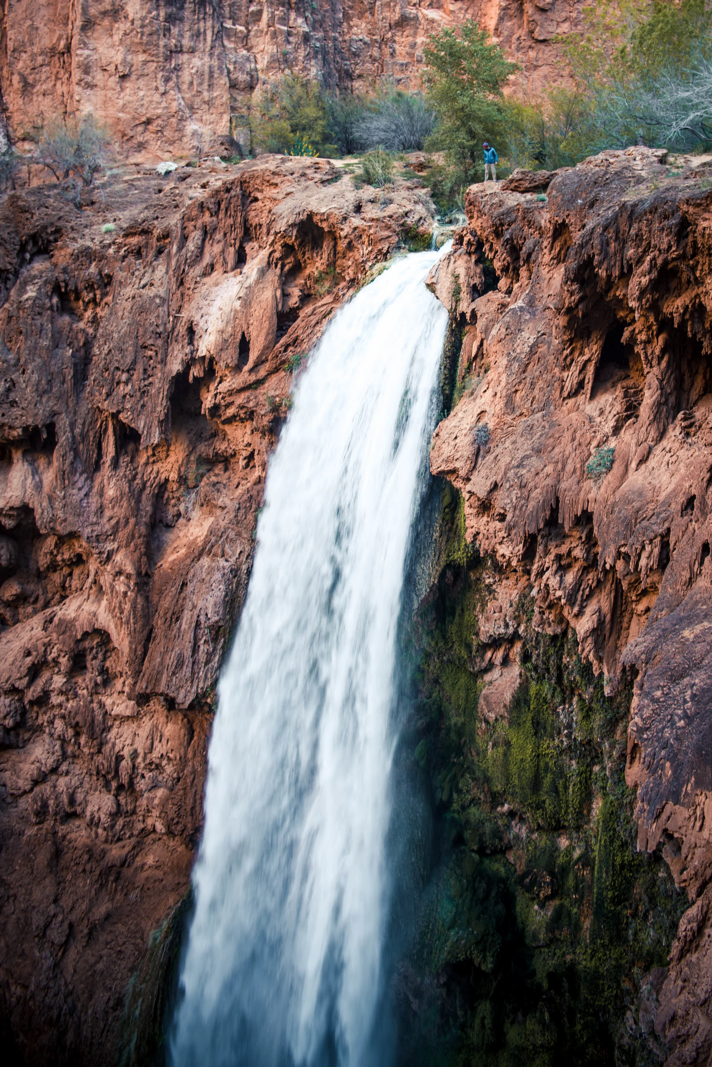 Mooney Falls (compared to little baby Luke at the top) are about 2 miles from the start of the campgrounds, but I highly recommend making the extra effort to find a spot at this end. Less crowds, more water. Obviously.