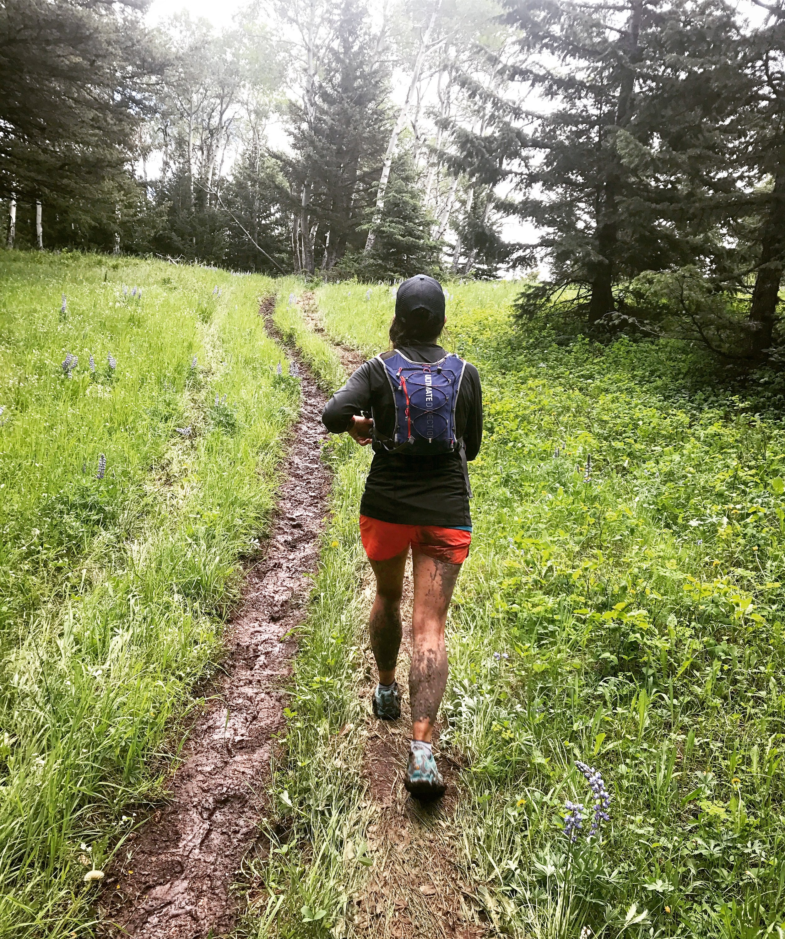Ultra Running / Bighorn 52 Miler / Wyoming