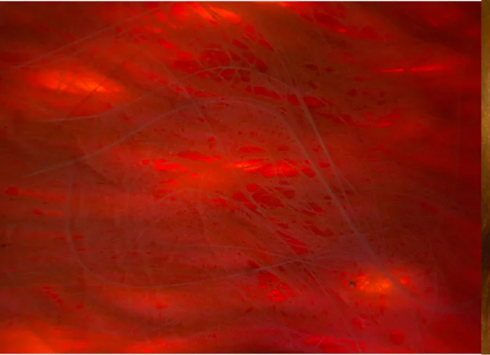 CompositeMaterials52.jpg