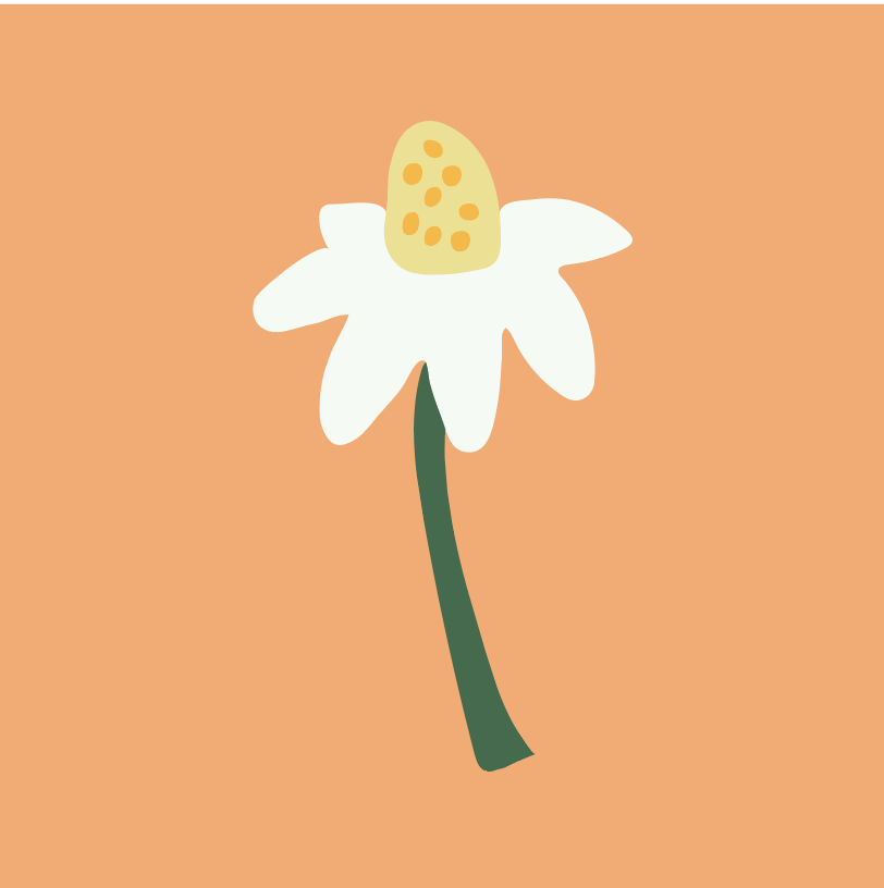 002 - daisy.png