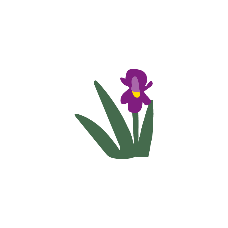 004----Iris.png
