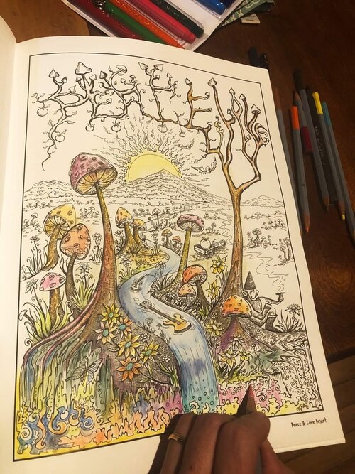 Dreaming In Color A Coloring Book For All Ages Woodstock Artist Collective