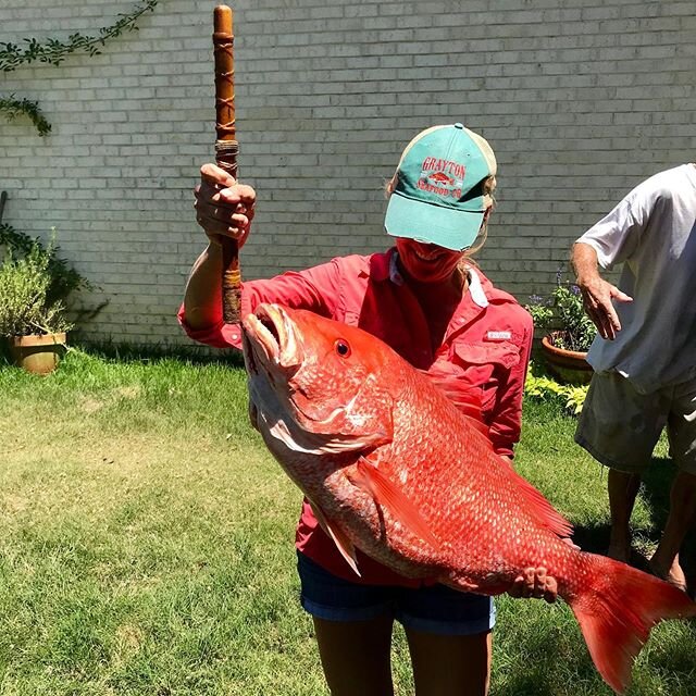 This baby measured in at over 35 inches!
#redsnapper #grouper #freshfromflorida #homegrown #gulftotable #girlswhofish #fishing #fishhunter #beachlaunch #graytonbeach #30a #seaside #sowal #beachesofsouthwalton #graytonseafoodco