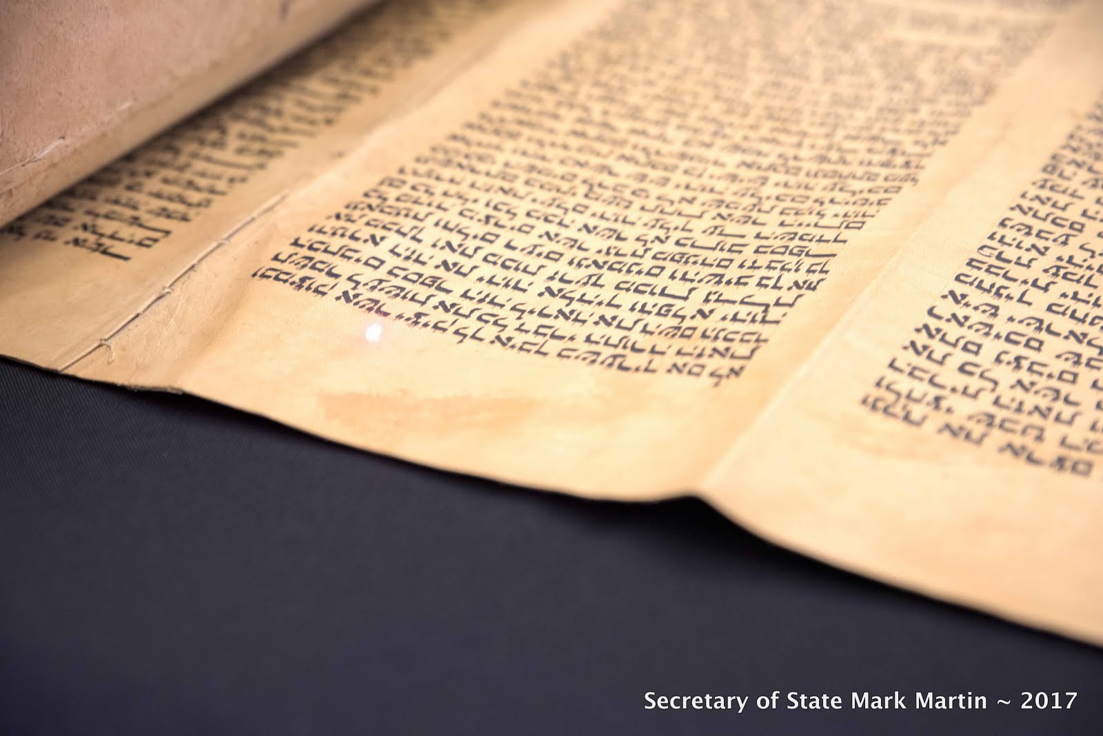 lo res 3-6-17 Torah Scroll and Artifact Immersion DSC_9275.jpg