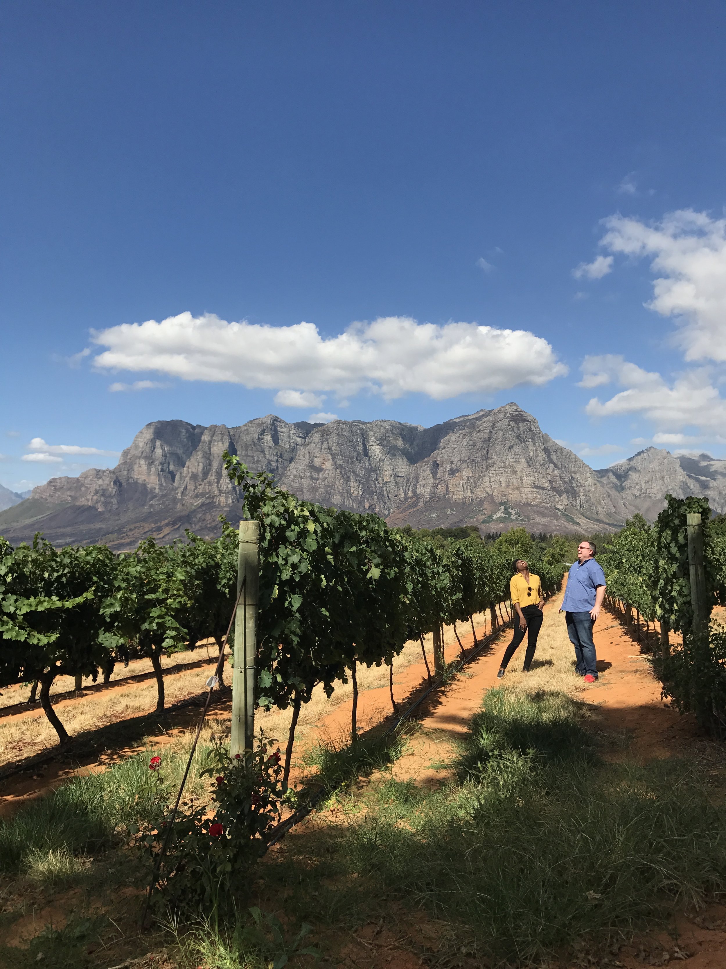 Winelands Option 1.JPG