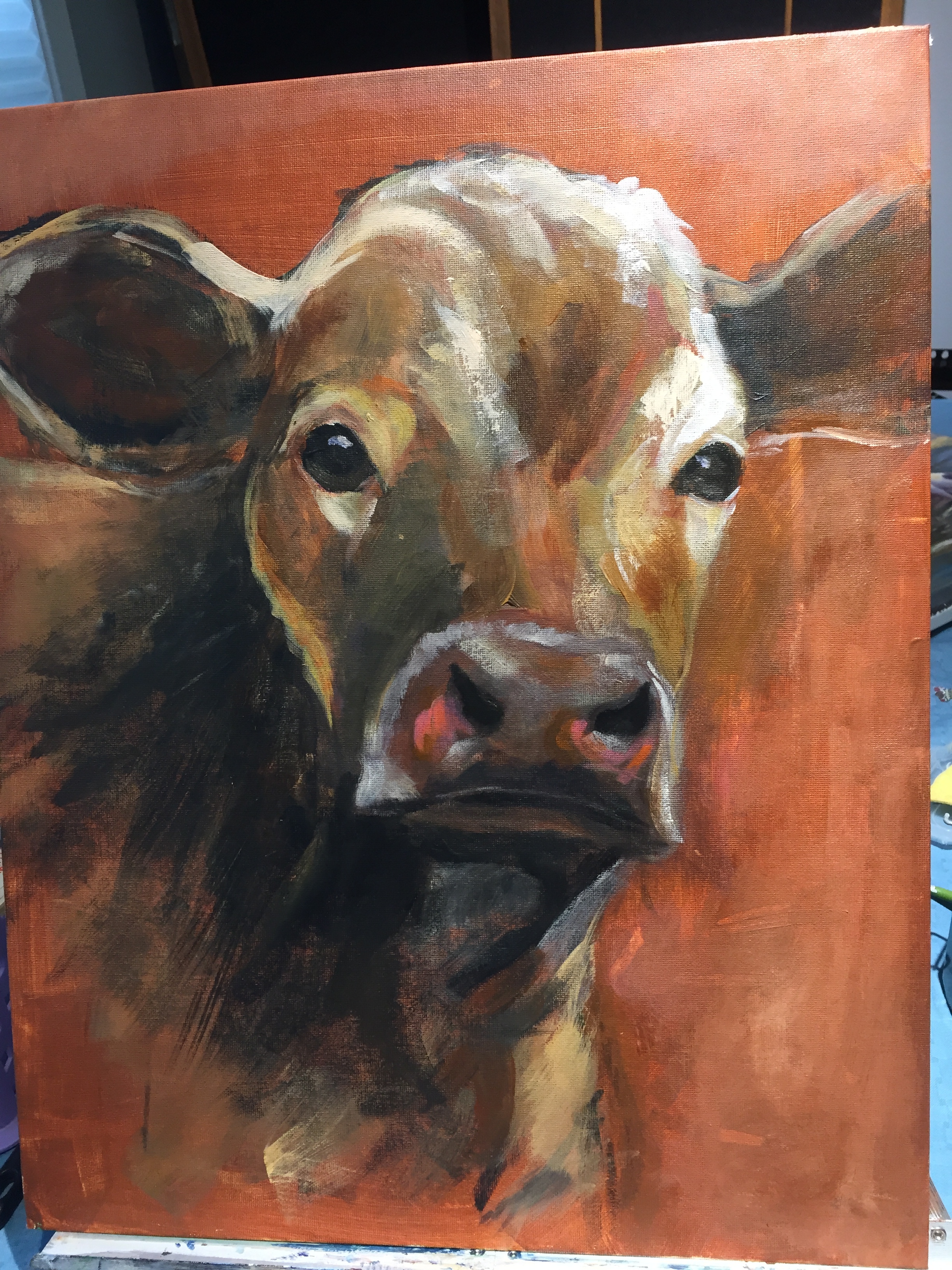 cow.JPG