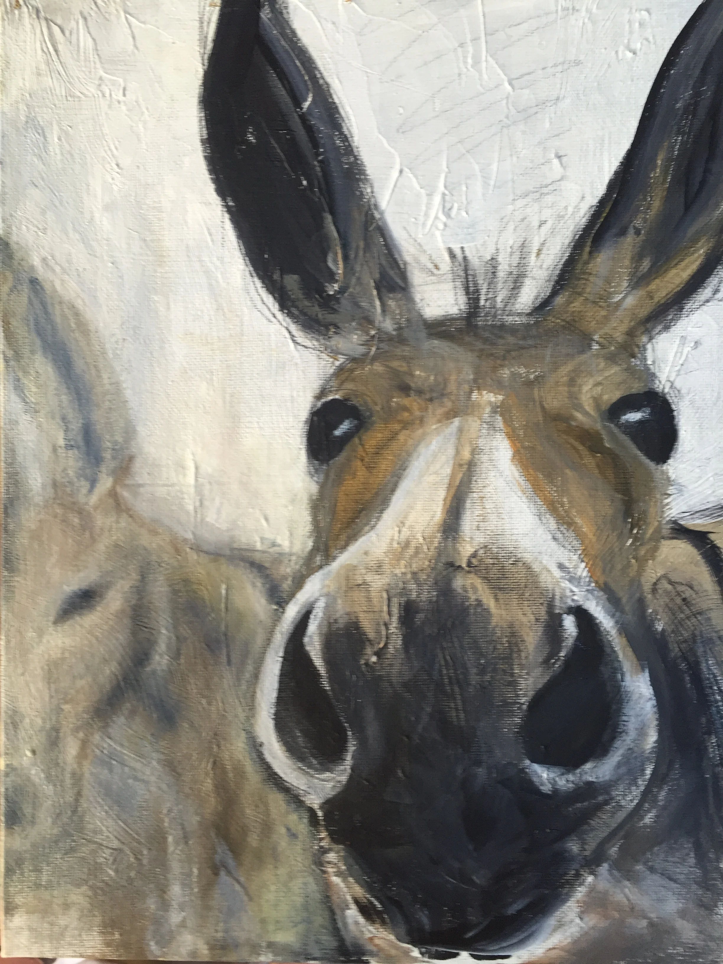 Donkey.JPG
