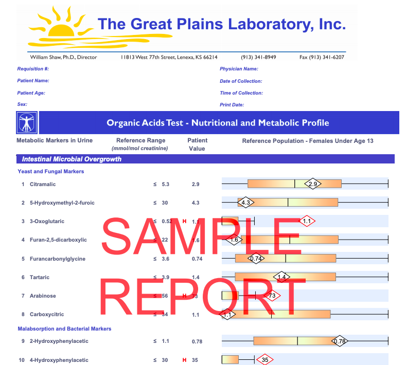 Screen Shot 2019-08-18 at 8.11.42 PM.png