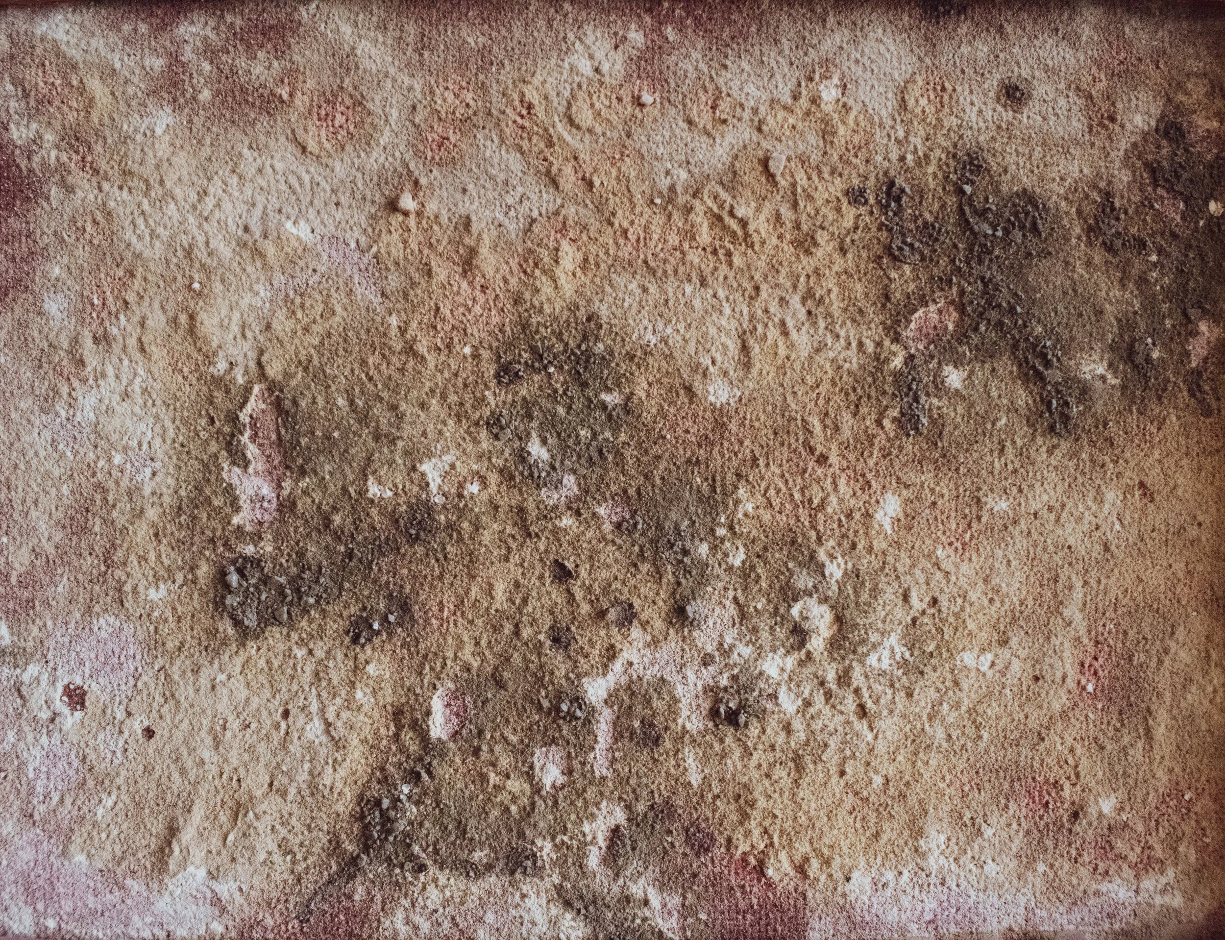 MOLD TOXICITY + NATURAL HEALING IN HOUSTON, TX (Copy)