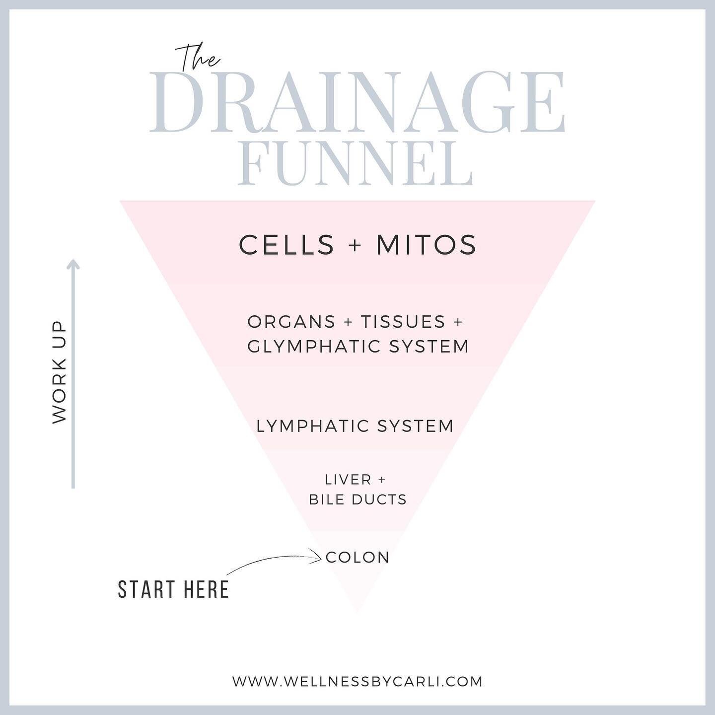 One of the biggest lessons I have learned in functional health is that we ALL have some cleaning up to do, but if you don't address drainage BEFORE a cleanse or detox...your health will get worse, not better. 

〰️What is the drainage funnel?
It is th
