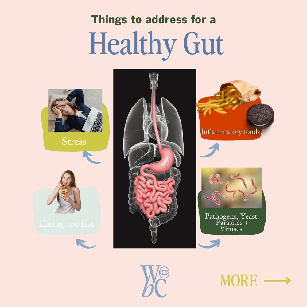 Navigating gut health can be the wild west! It&rsquo;s also the 🔑 to overall health.

And I know it can be overwhelming. There are SO many factors that can cause bloat, IBS-C, IBS D, cramps, nausea, reflux etc!

This topic is near and dear to me. Gr