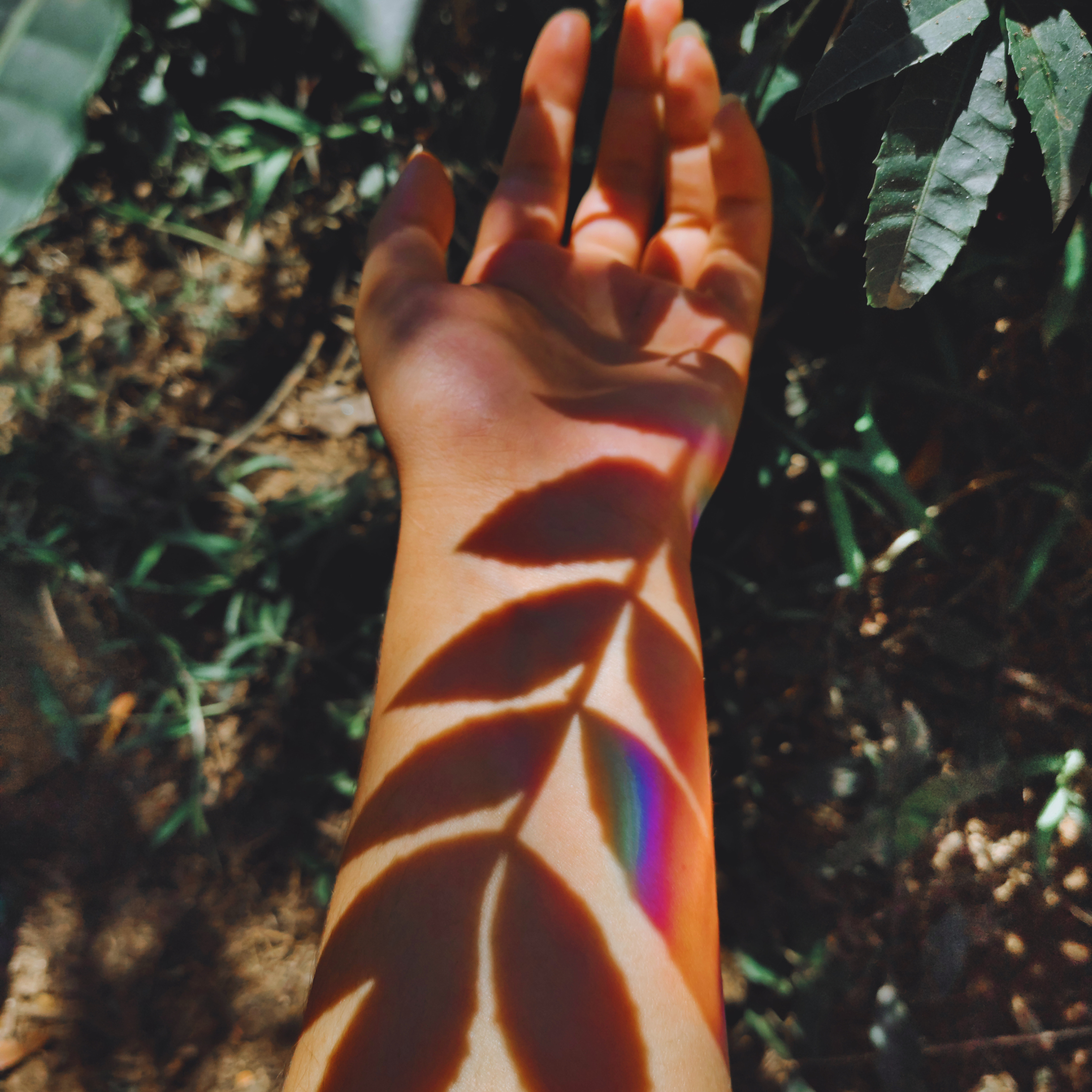 The Healing Power of Nature: Embracing the Benefits of the Great Outdoors