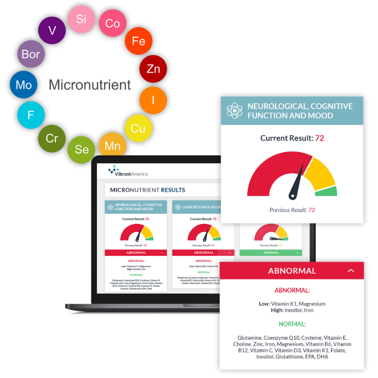 Micronutrient Deficiency Test Online | Personalized Lab Review ...