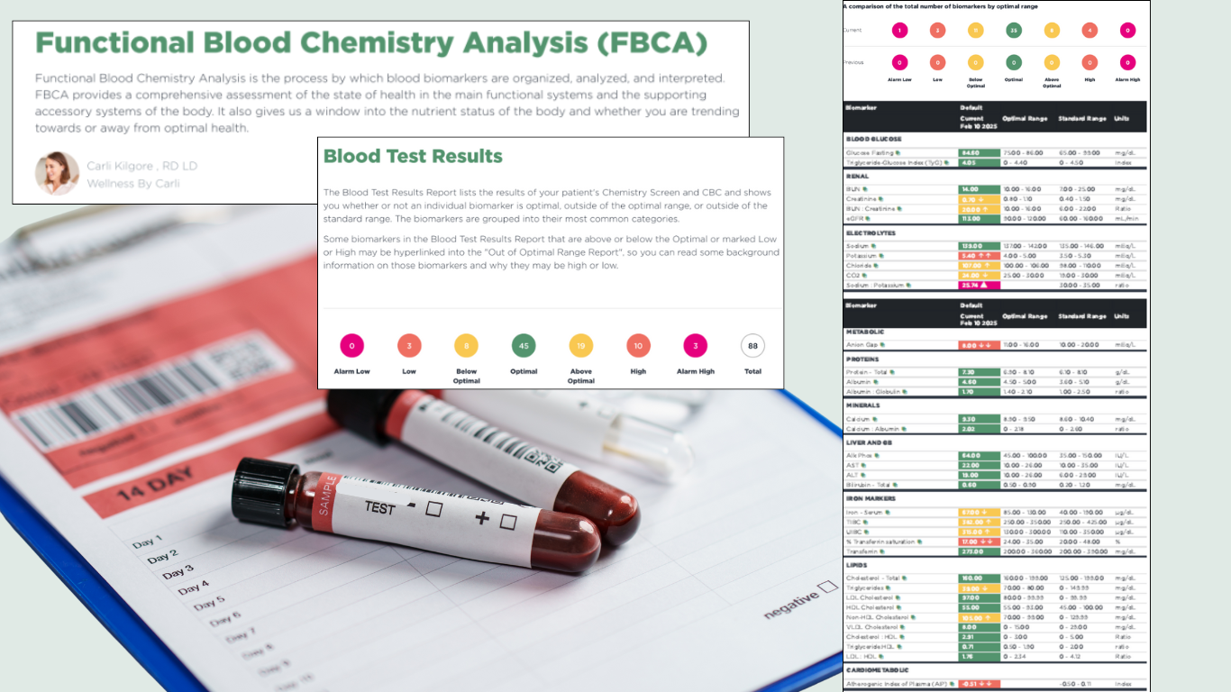 Functional Blood Chemistry Panel | Root Cause Health Analysis Houston ...