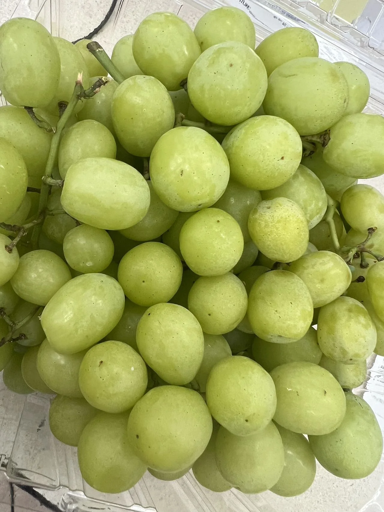 SUPER CRISPY GREEN GARPE   3LB盒裝 爽脆青提子