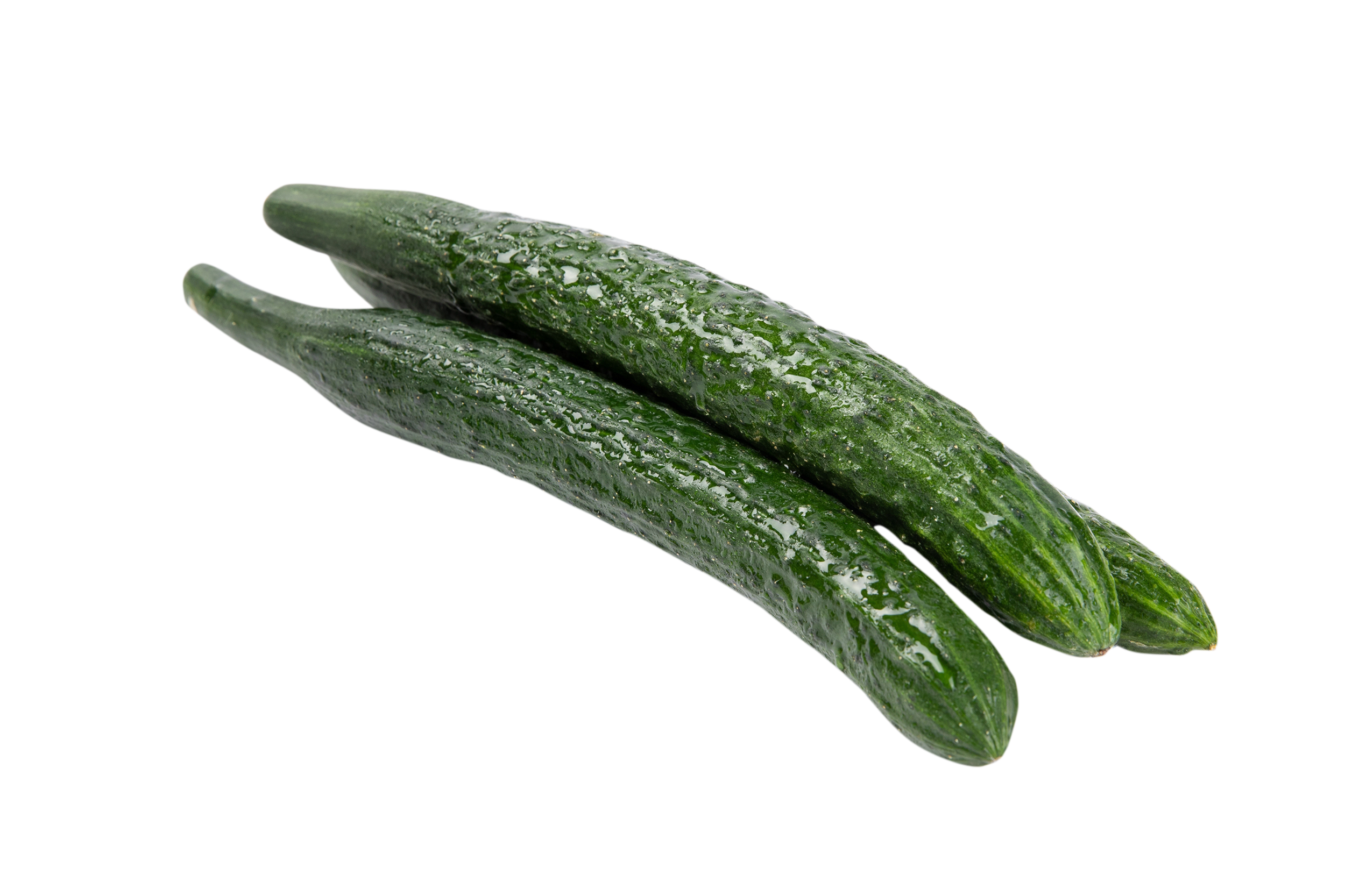 ÉãÍ¼Íø_401465293_»Æ¹Ï(·ÇÆóÒµÉÌÓÃ).png