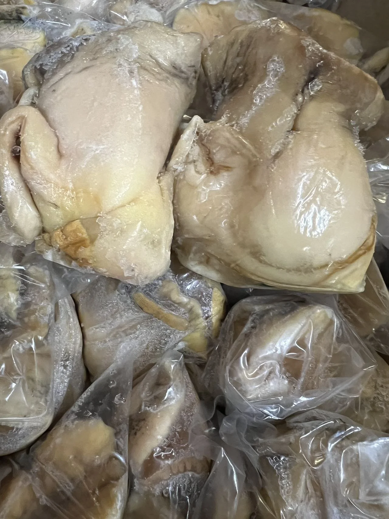 FROZEN CONCH MEAT   急冻响螺头特价$10.99/LB(1.5lb)