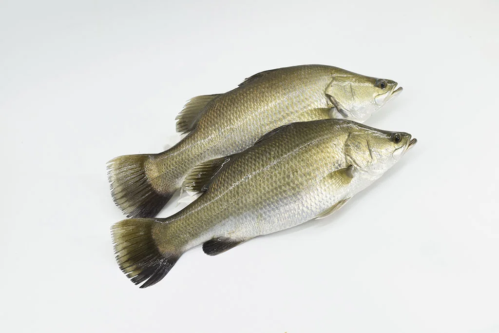 海鮮 SEAFOOD — Sun's Market