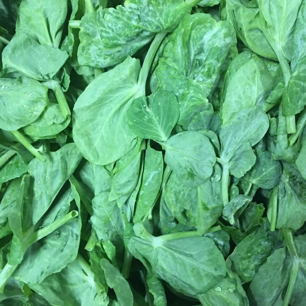 Pea Sprouts L 大豆苗 Sun S Market Pea Sprouts L 大豆苗 Sun S Market