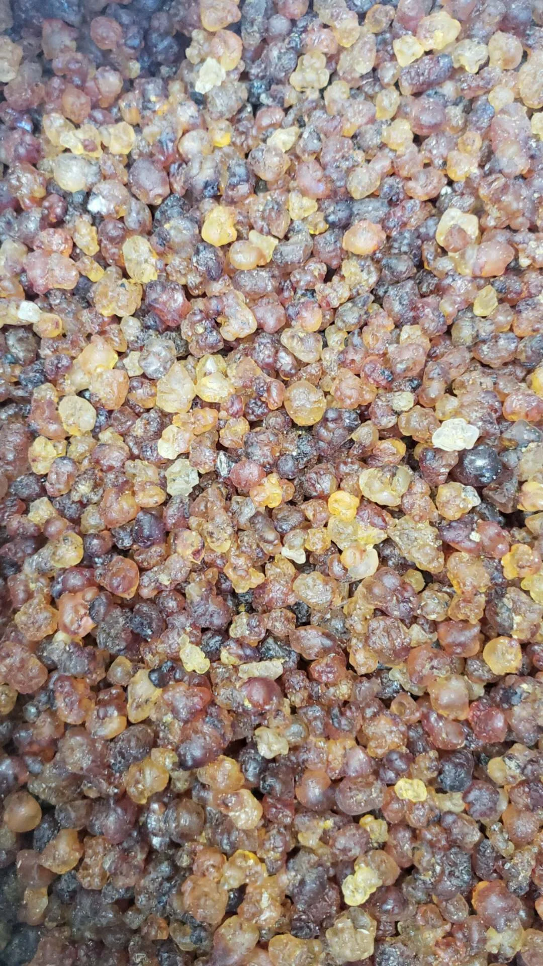 14690507-AC68-46DD-B7B8-016C78C177A5