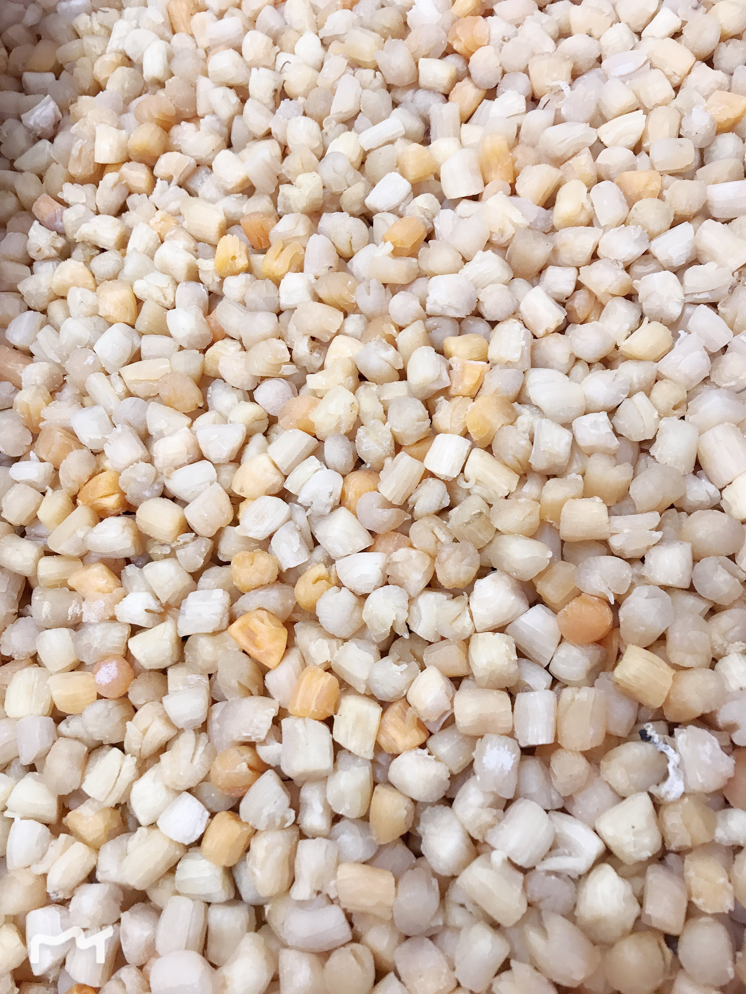 833A9F08-11CE-4E1B-95FF-25E9D256F957