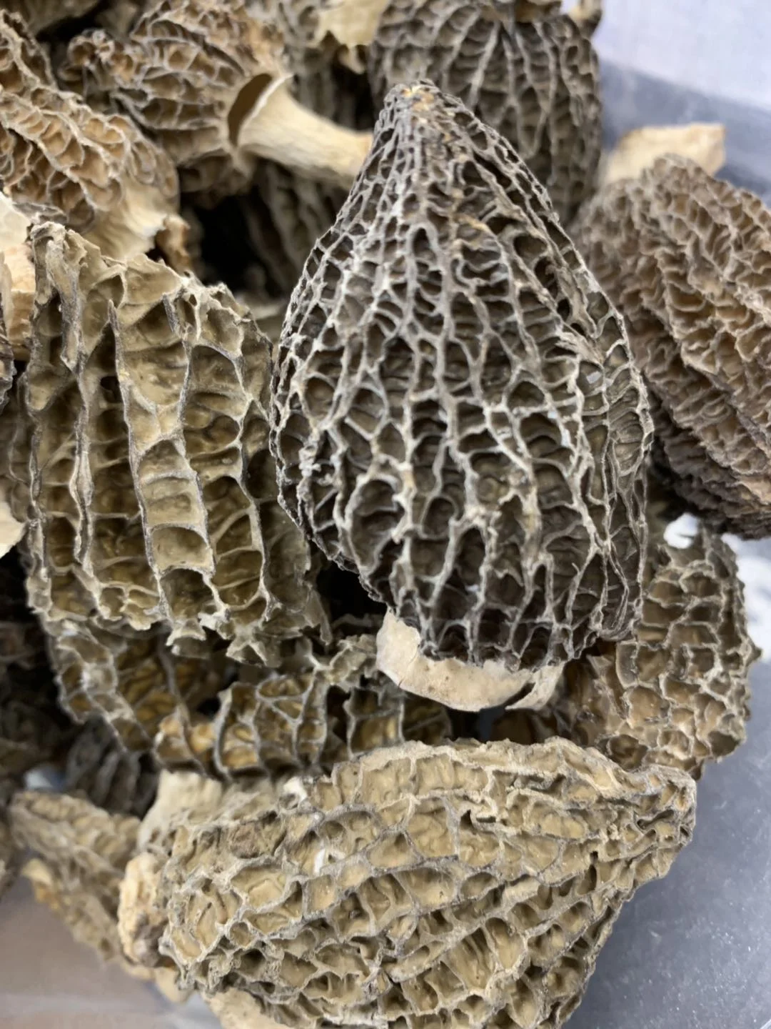 A8D8C92A-8B4F-4F14-86C6-751FE1C67031