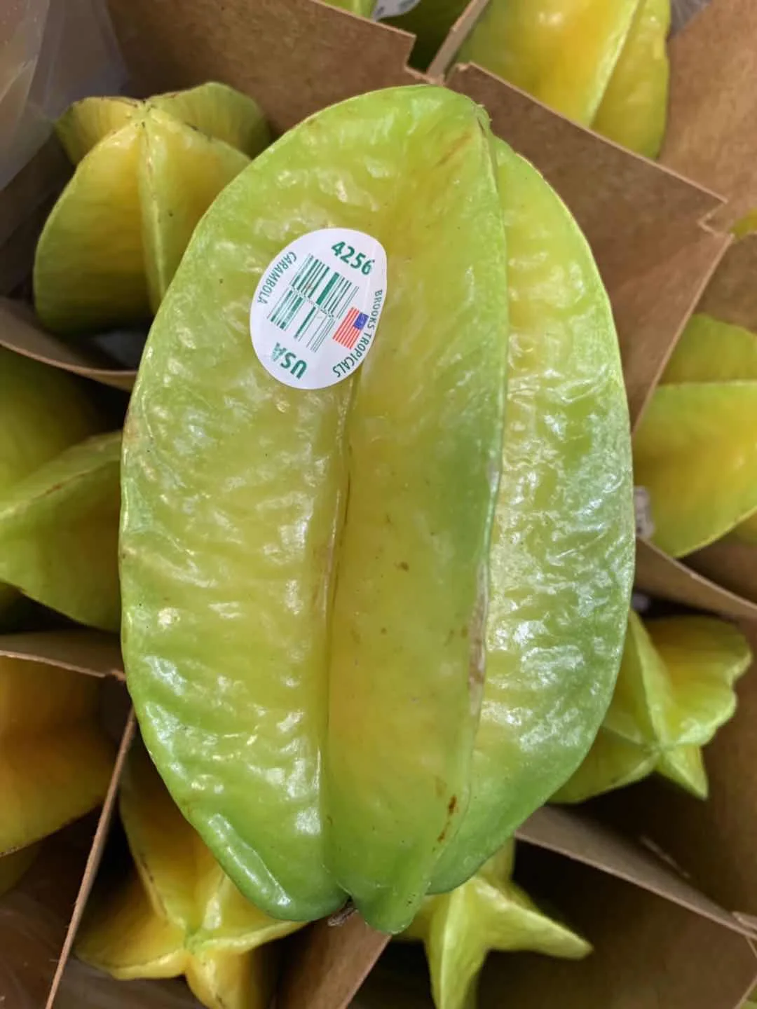 DBFCBAF9-D490-4969-8C1F-A3E2F59885C0