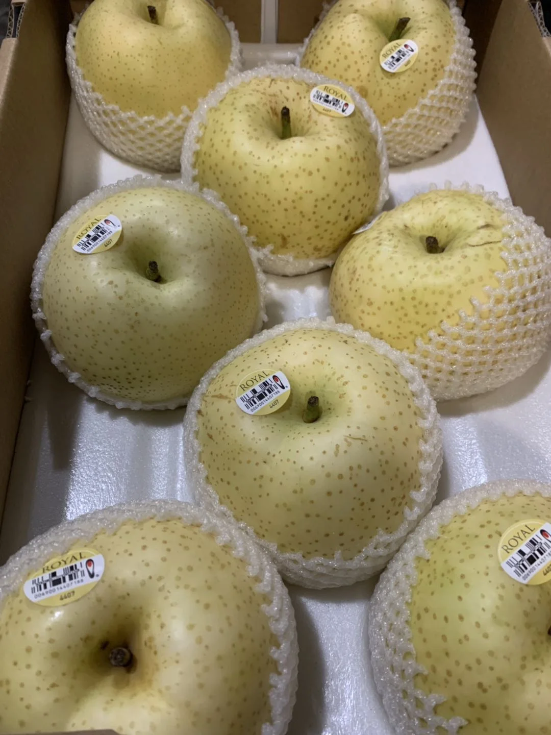 983870A4-C3BC-4F2A-AE34-4CAED419035A