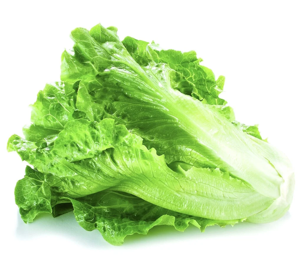 44F6B8EA-74FF-41F7-B6B3-2C120969FF9F