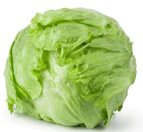 0E6ABA22-4457-469C-81C4-EBC035F1CB68