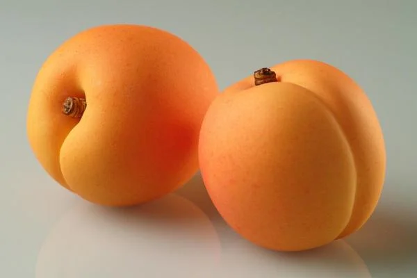 070E00DC-E54D-49D5-A890-3341CE500C84