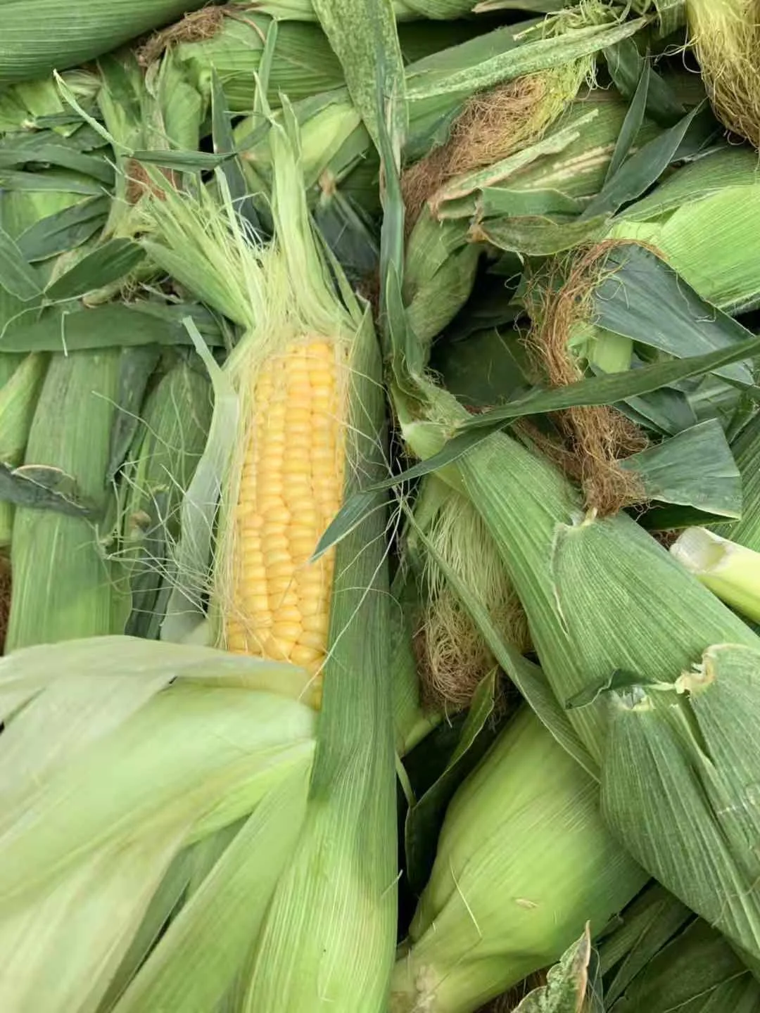 C4A41651-69CB-4E51-8969-2A0E5A3A57E4