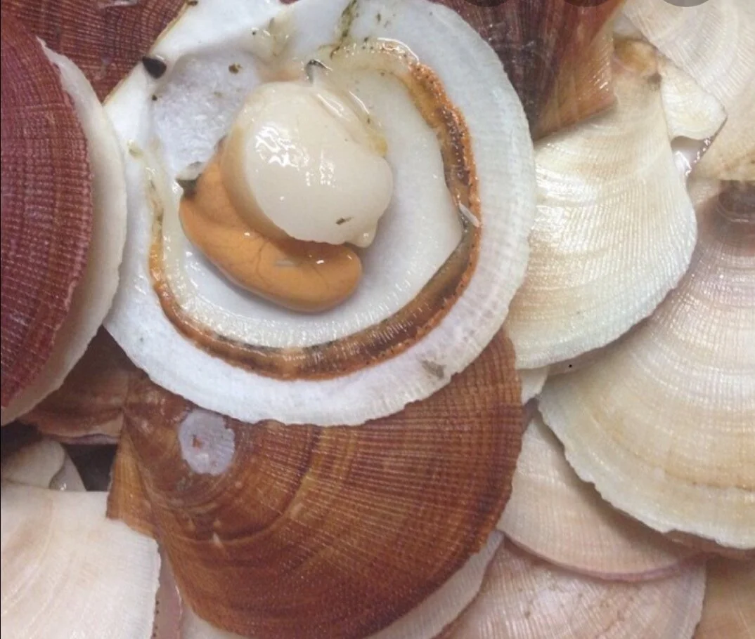 WeChat Image_20190918154803.jpg