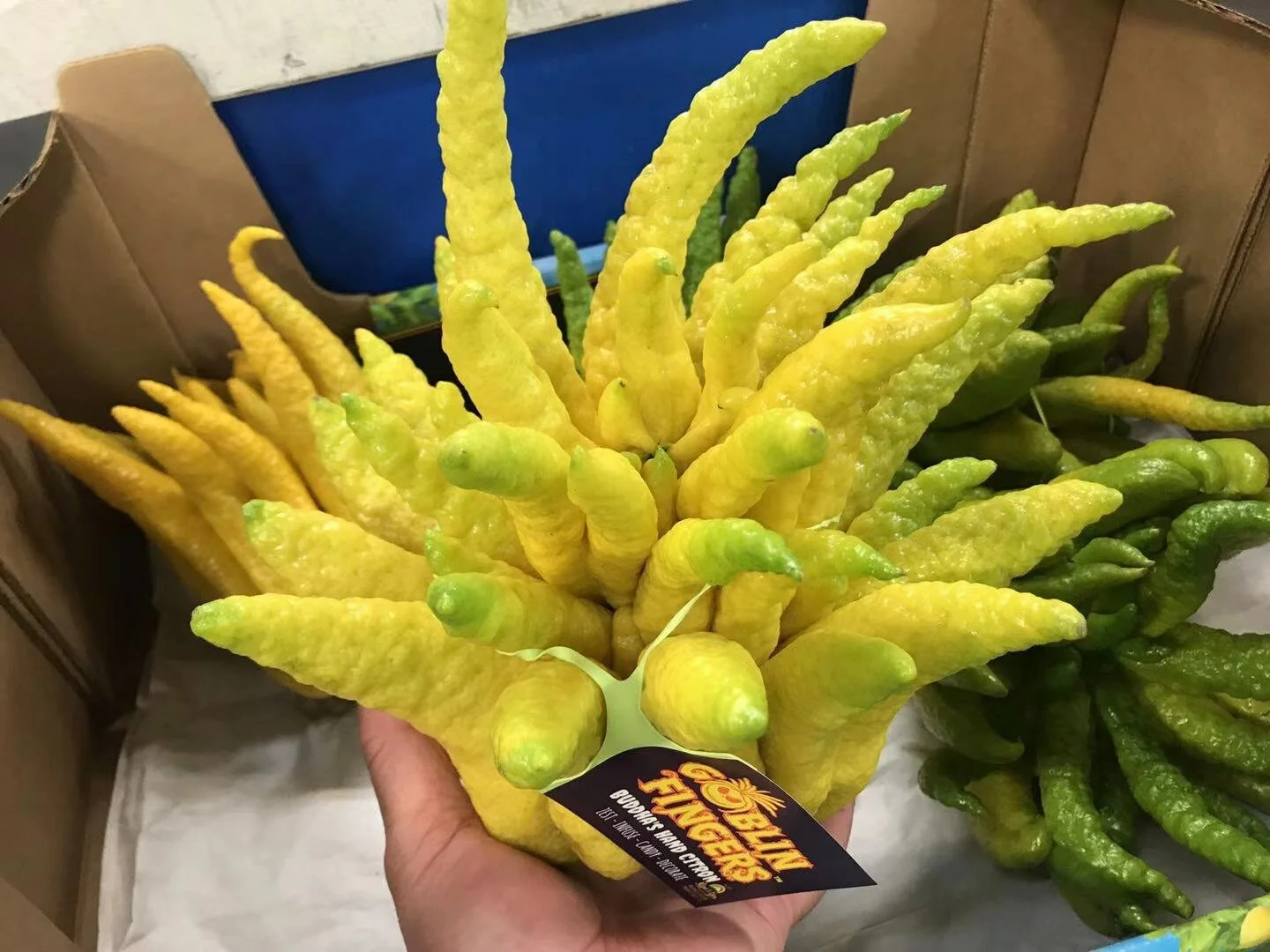 webwxgetmsgimg (23).jpg