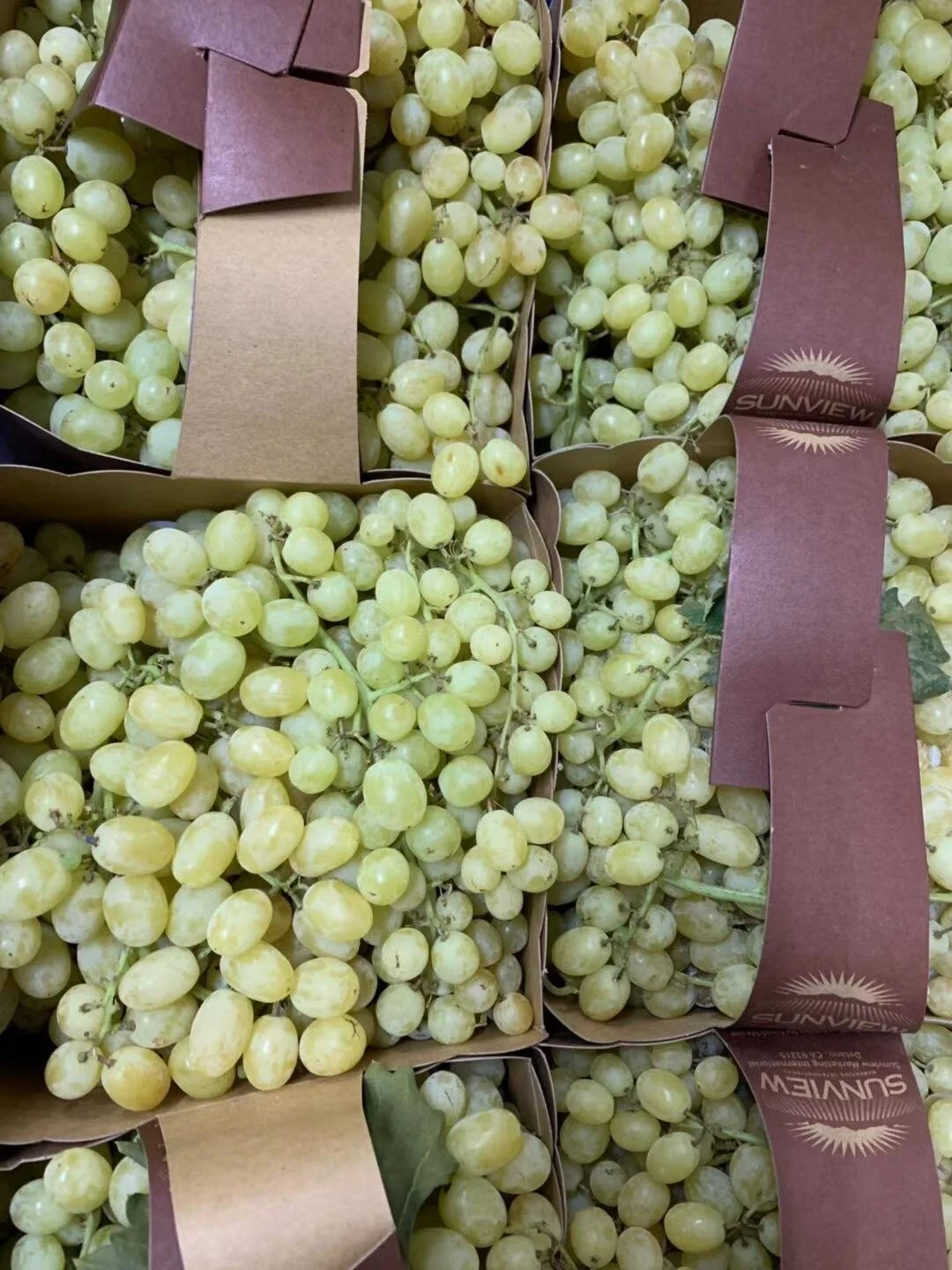 5EC54B07-C917-4D98-B56A-12057FE4A821