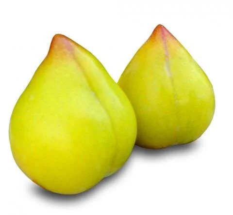lemon_plums_1.jpg