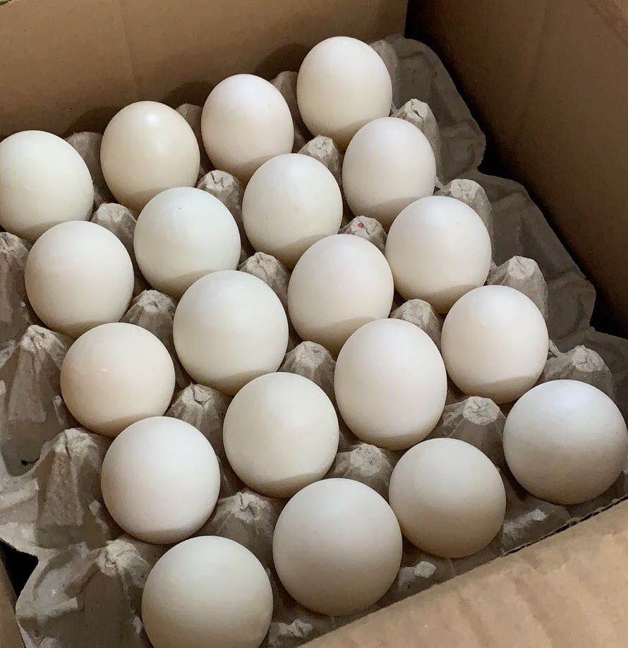 webwxgetmsgimg (19).jpg